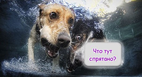 Е. в. б., A.S.T.R.A.K.H.A.N (Ю.с. 2012)