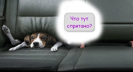 Держи меня за руку (29.05.13), Д.ж.и.г.а.н