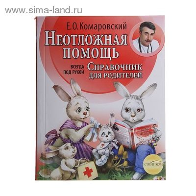Глава 1. Что делать с мужем? Что делать с собой? Секс. Лекарства и беременность. Что делать будущему папе?, Е. О. Комаровский