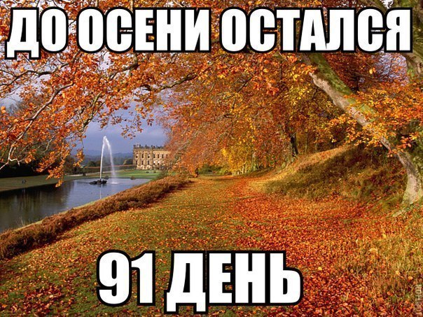 Алкоголик это я, Ритм дорог(песня про Лёшу,Никиту,Сашу,Настю,Настю,Алёну,Ксюшу,Наташу,Крис,Полинку)