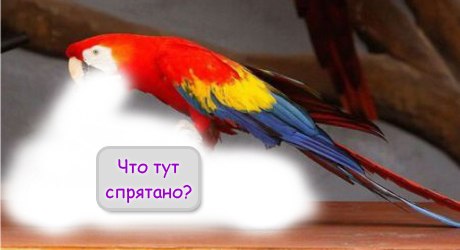 Для нее Курт - это Воннегут, а для меня Кобейн, С.Л.С.Д.Д.
