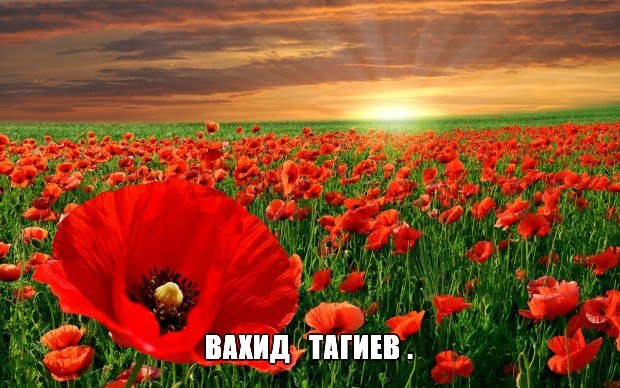 Я вернусь к тебе,ты меня подожди, Вахид Тагиев